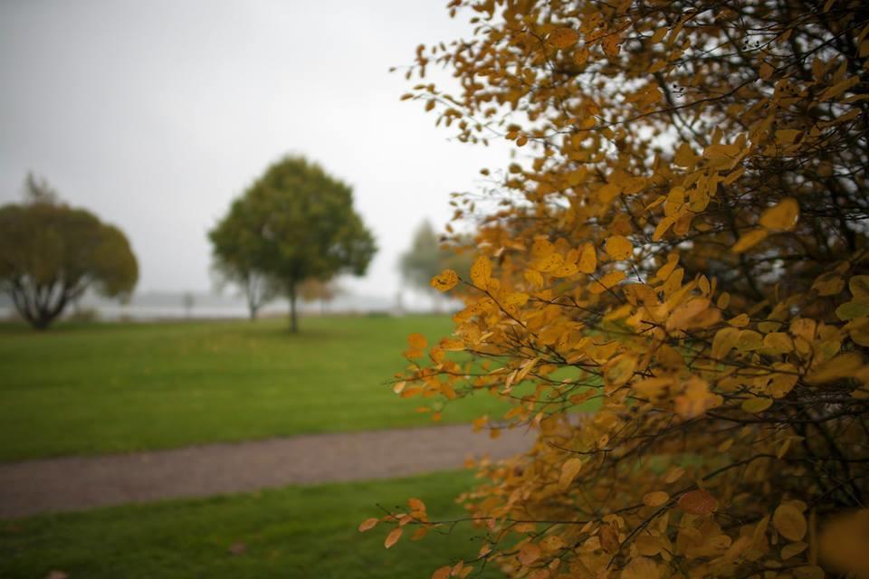 Hotel Degerby Loviisa Eksteriør billede
